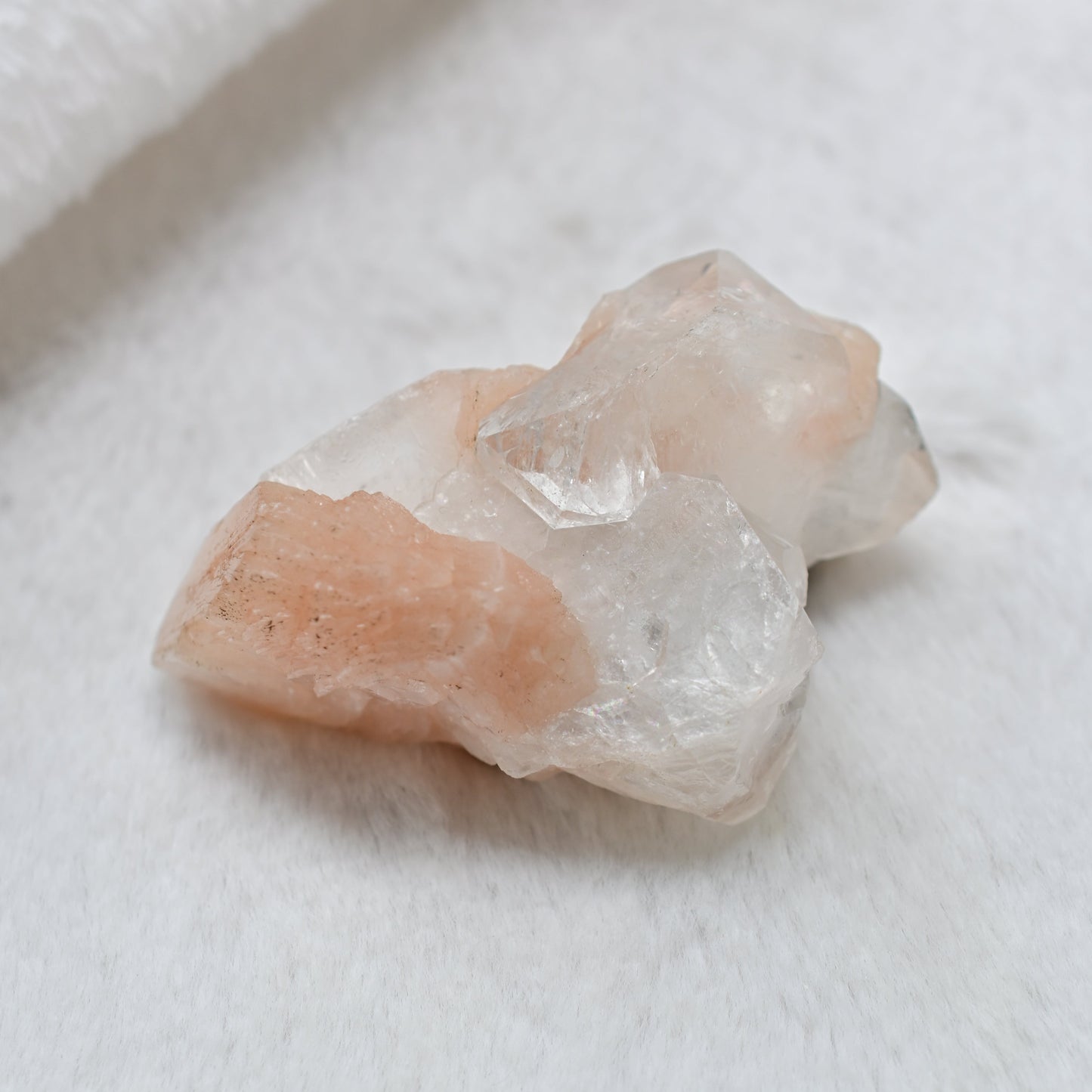 粉橘魚眼石🧡小鮭魚飯糰