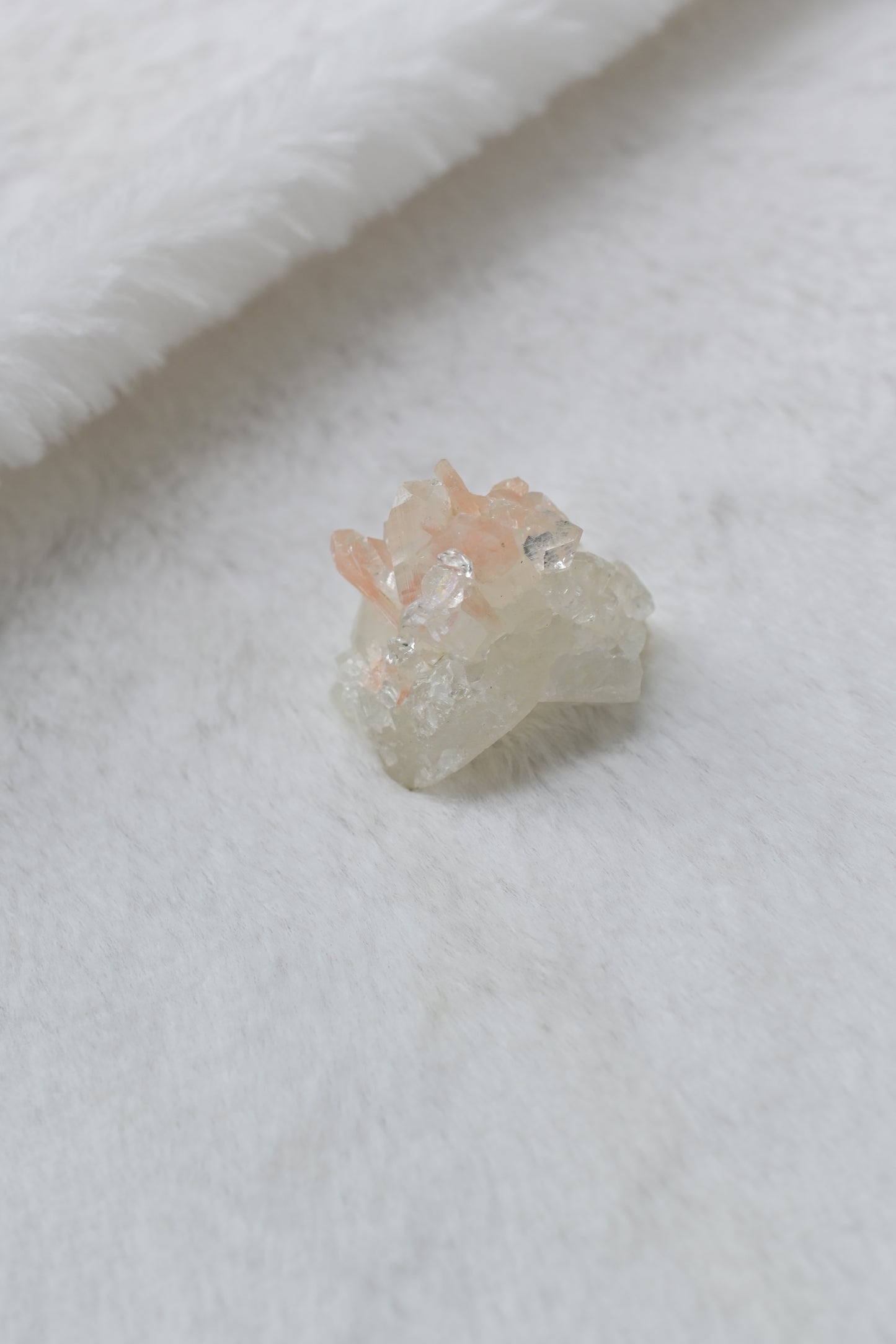 粉橘魚眼石🧡超可愛迷你鮭魚飯糰