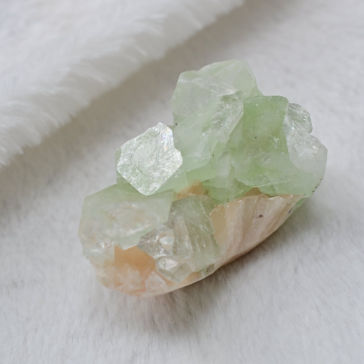 淺綠魚眼石💚翠玉小白菜