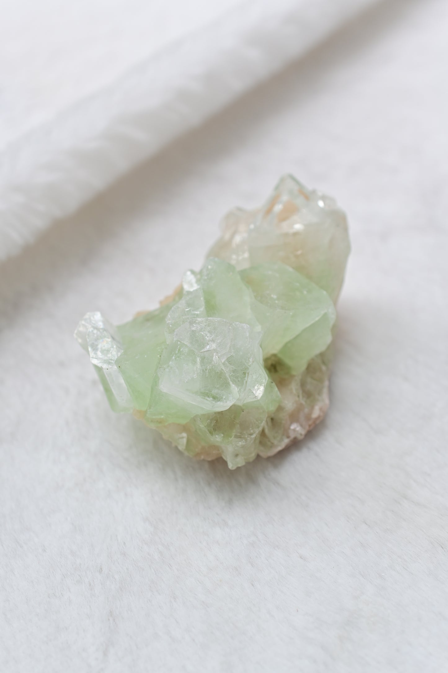 淺綠魚眼石💚翠玉小白菜