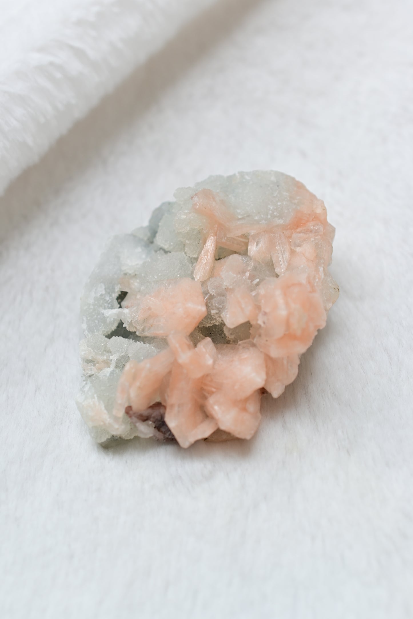 粉橘魚眼石🧡天然原礦