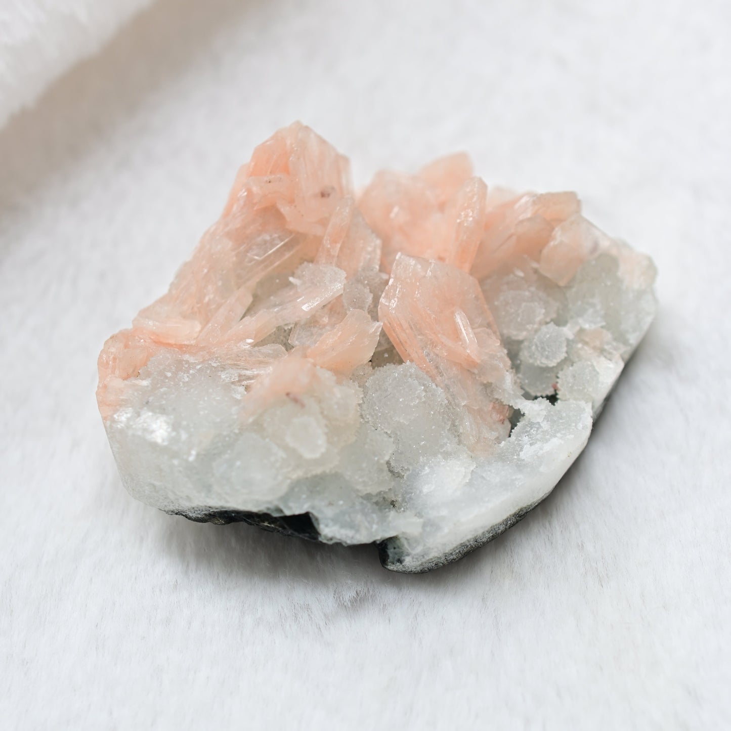 粉橘魚眼石🧡天然原礦